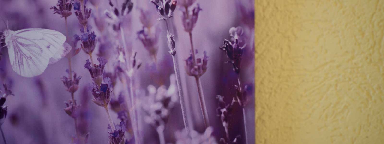 Jürgen Born Wohlfühl-Massage, Gießen | Wellness-Massage und mobile Massage mit transparenter Preistruktur